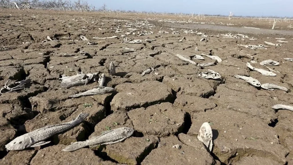 Истощение ресурсов